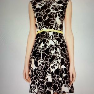 The Limited Black and White Floral dresses